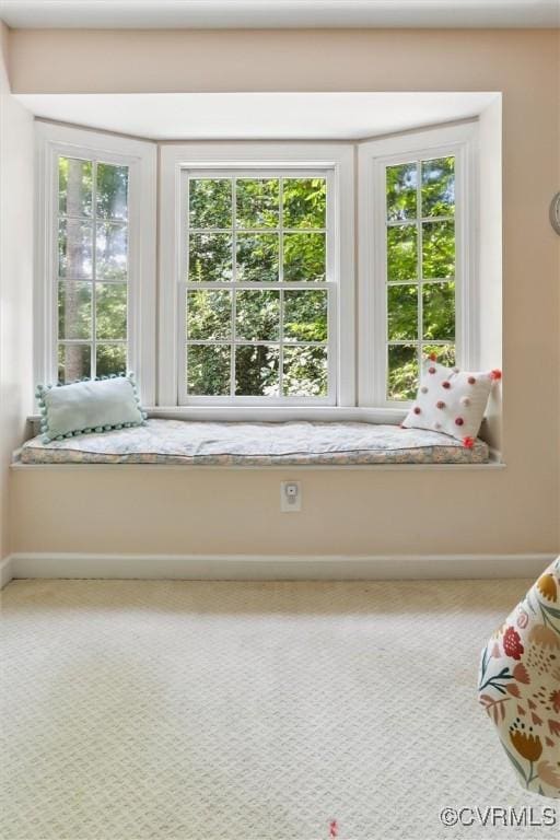 38 Berkshire Rd, Williamsburg, VA 23188 - photo 25