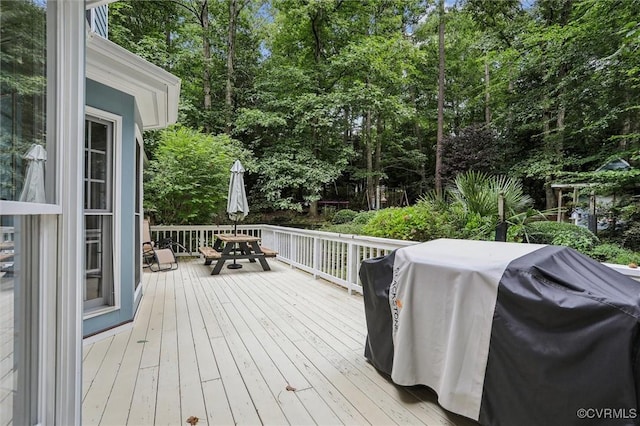38 Berkshire Rd, Williamsburg, VA 23188 - photo 33