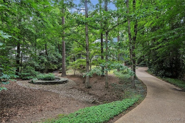 38 Berkshire Rd, Williamsburg, VA 23188 - photo 36