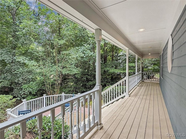 38 Berkshire Rd, Williamsburg, VA 23188 - photo 6