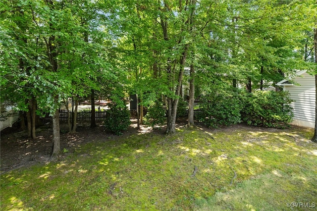 8759 Brays Fork Dr, Glen Allen, VA 23060 - photo 29