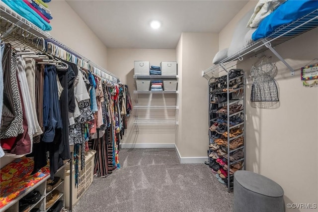12576 Petrel Xing, Midlothian, VA 23112 - photo 16