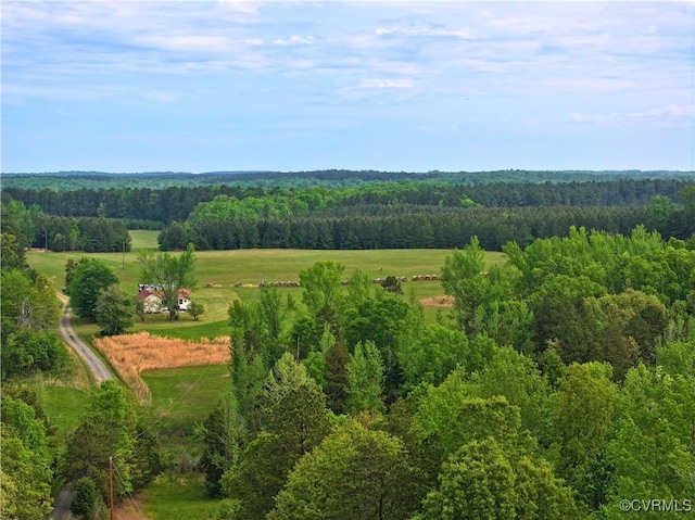 10233 Bill Tuck Hwy, Virgilina, VA 24598 - photo 2
