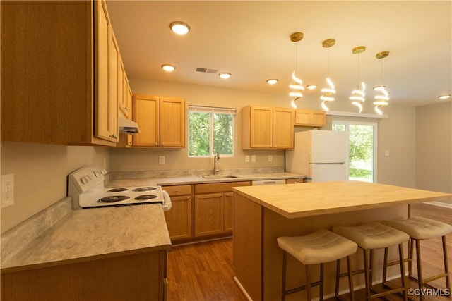 398 Blinkys Rd, Buckingham, VA 23123 - photo 10
