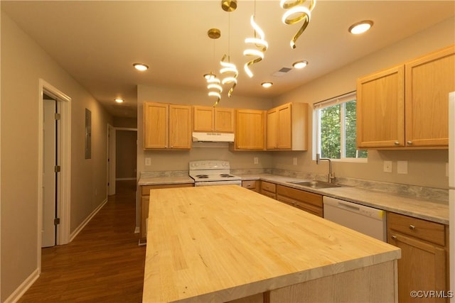 398 Blinkys Rd, Buckingham, VA 23123 - photo 11