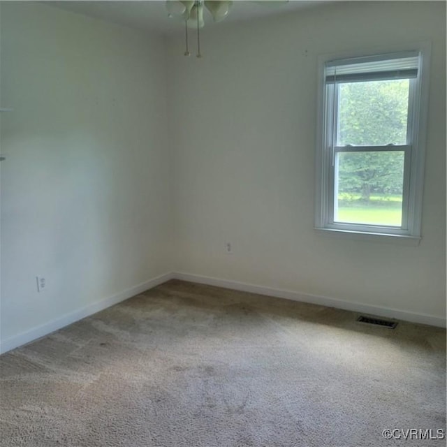23809 Old Cox Rd, Dinwiddie, VA 23803 - photo 7