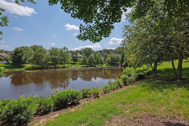 1114 Marney Ct Unit Vv-1, Henrico, VA 23229 - photo 48