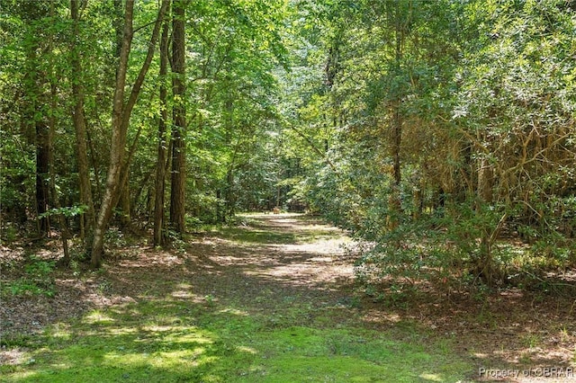 11172 Eventide Ln, Gloucester, VA 23061 - photo 39
