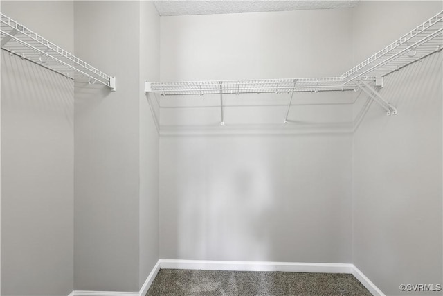 14718 Cobbs Point Dr, Chesterfield, VA 23836 - photo 15