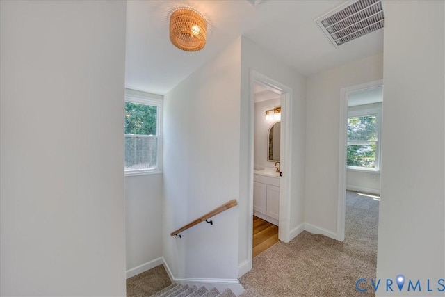 515 Highland Ave, Colonial Heights, VA 23834 - photo 17