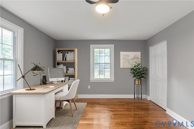 3519 Murchies Hill Rd, Chesterfield, VA 23234 - photo 17
