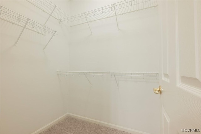 1304 Rustads Cir, Williamsburg, VA 23188 - photo 31