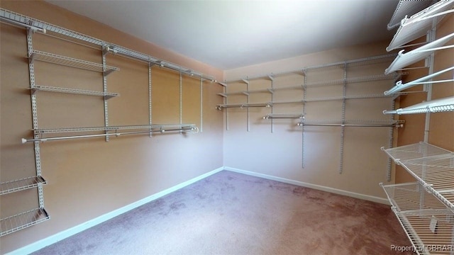 131 Low Ridge Rd, Williamsburg, VA 23185 - photo 28