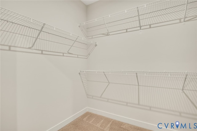3800 Maze Runner Dr Unit 101, Midlothian, VA 23112 - photo 19