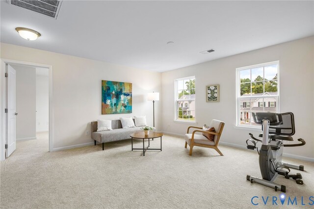 8806 Bailey Hill Rd, Midlothian, VA 23112 - photo 25