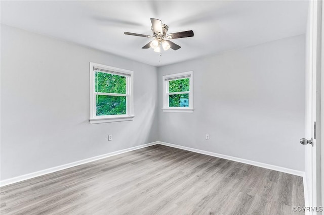 1416 Fernleaf Dr, North Chesterfield, VA 23235 - photo 15