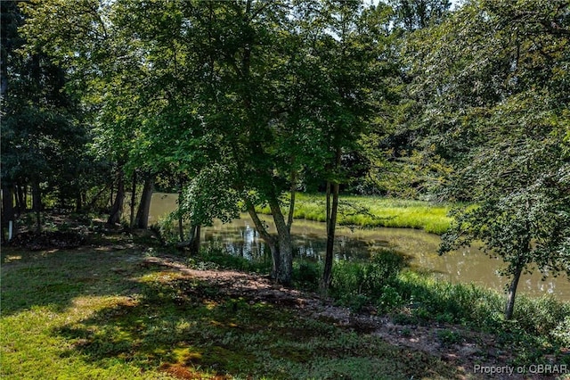 82 Minglewood Ln, Kilmarnock, VA 22482 - photo 40