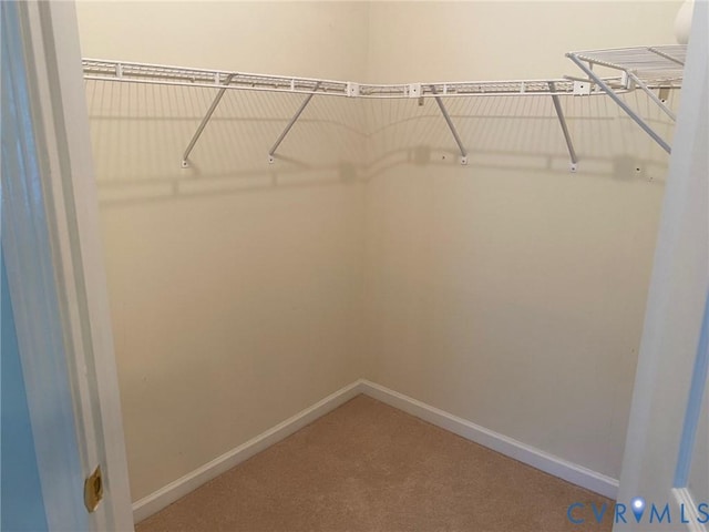 734 Bristol Village Dr Unit 302, Midlothian, VA 23114 - photo 14