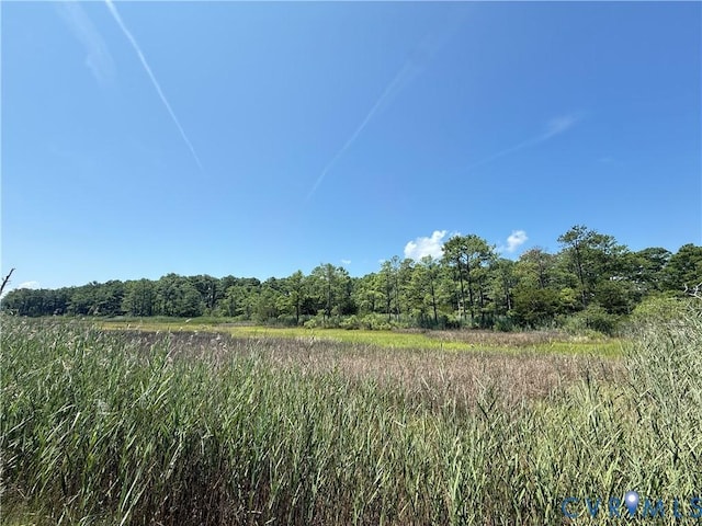 1305 Bethel Ave, Hampton, VA 23669 - photo 2