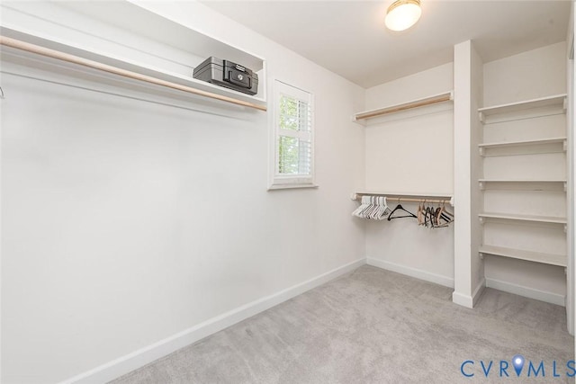 3601 Bradinton, Williamsburg, VA 23188 - photo 26