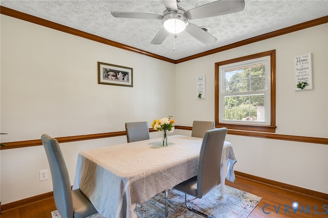 9931 Barnetts Rd, Charles City, VA 23030 - photo 11