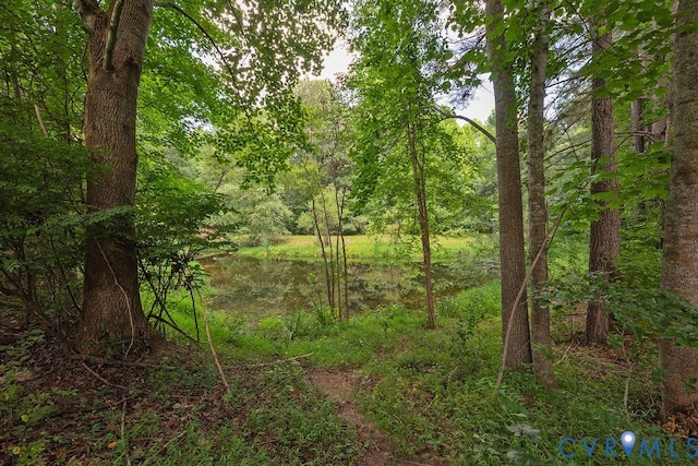 104 Heron Ct, Williamsburg, VA 23188 - photo 44