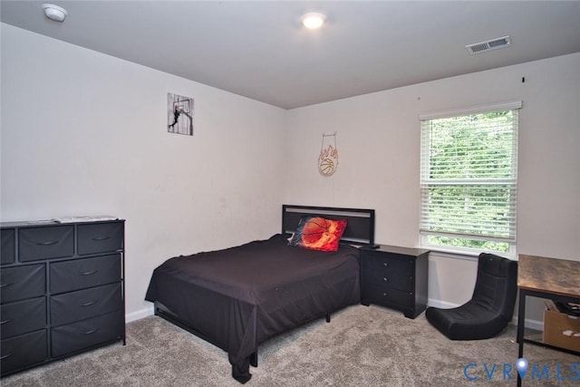 11085 Chappel Creek Cir, Prince George, VA 23860 - photo 19