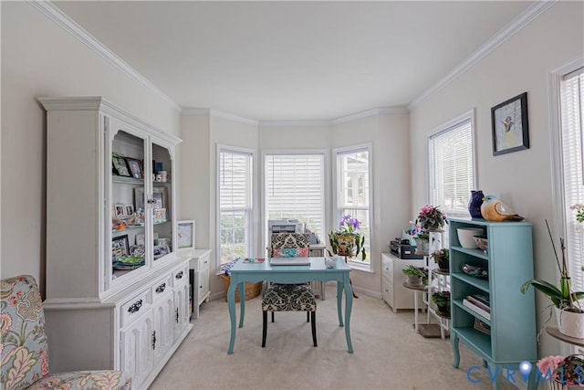 17147 Library Blvd, Ruther Glen, VA 22546 - photo 12