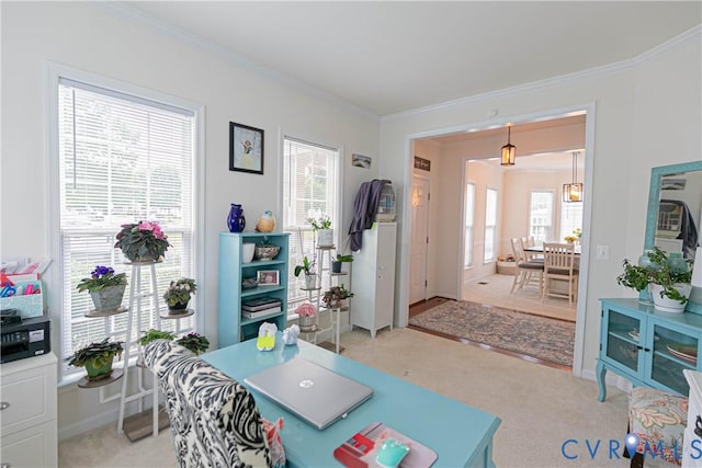 17147 Library Blvd, Ruther Glen, VA 22546 - photo 13