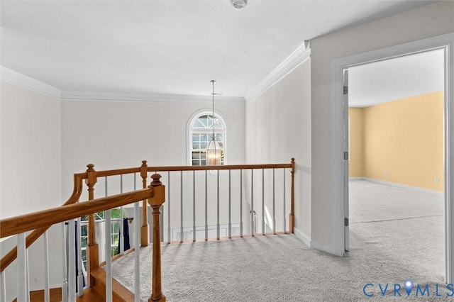 202 Redbird Dr, Chester, VA 23836 - photo 31