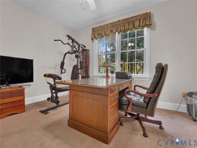 14481 Augusta Ln, Ashland, VA 23005 - photo 35