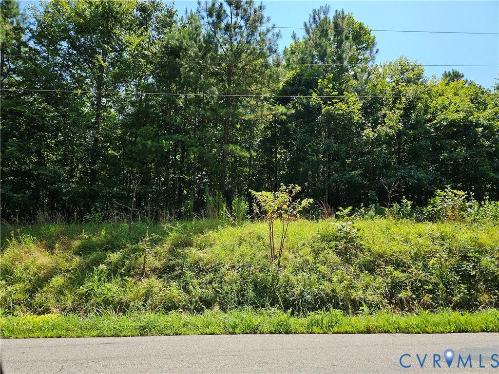0 W Courthouse Rd, Crewe, VA 23930 - photo 1