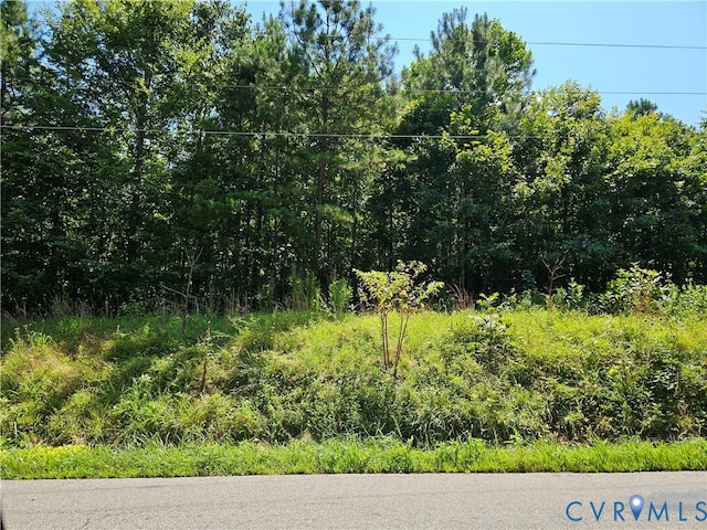 0 W Courthouse Rd, Crewe, VA 23930 - photo 1