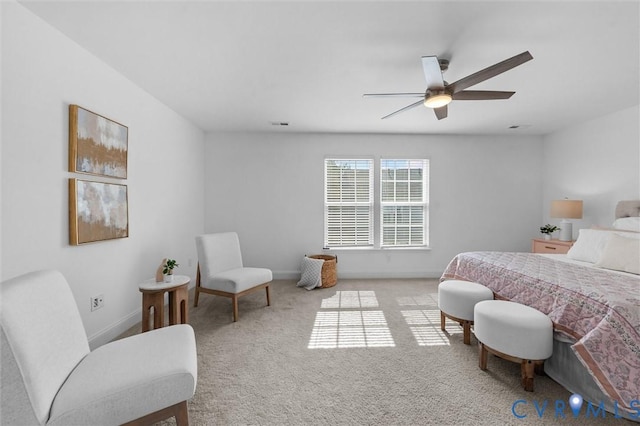 309 Randolph View Dr, Midlothian, VA 23114 - photo 27