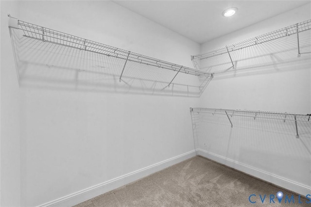 309 Randolph View Dr, Midlothian, VA 23114 - photo 35