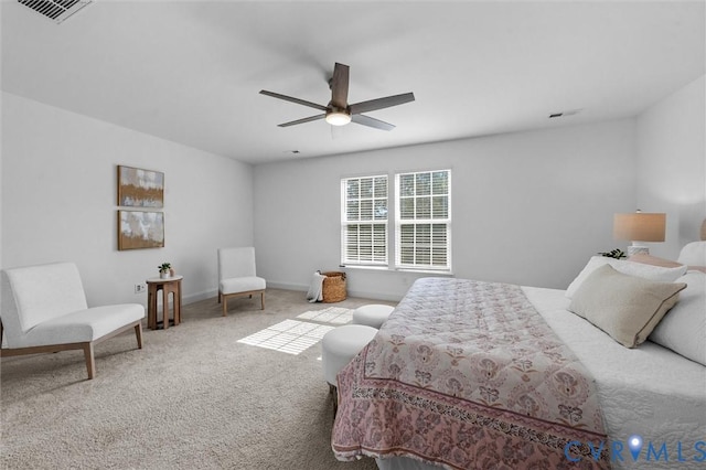 309 Randolph View Dr, Midlothian, VA 23114 - photo 29
