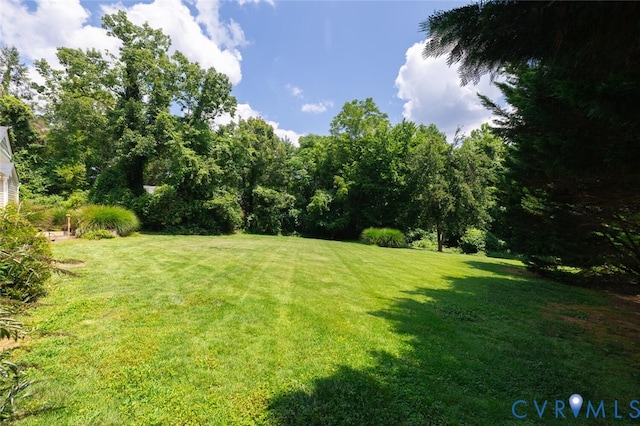 8515 Henrico Ave, Henrico, VA 23229 - photo 16