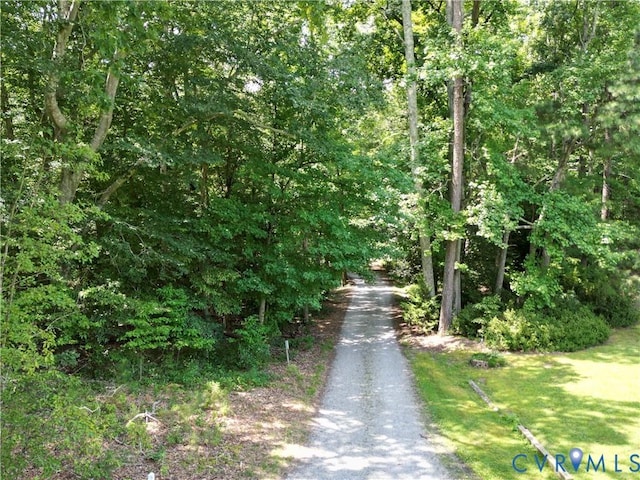 9170 Tazewell Green Dr, Mechanicsville, VA 23116 - photo 48