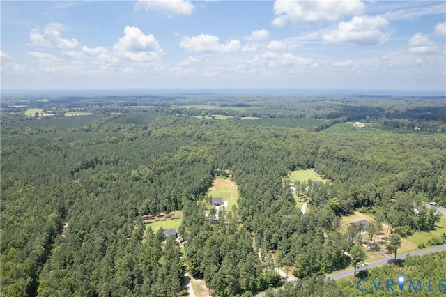 1233 Deep Run Rd, Cartersville, VA 23027 - photo 24