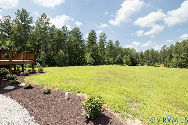1233 Deep Run Rd, Cartersville, VA 23027 - photo 19