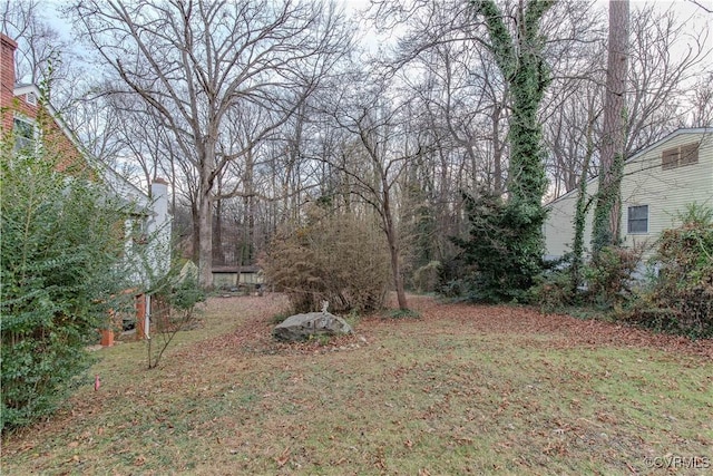 202 Raymond Ave, Charlottesville, VA 22903 - photo 6