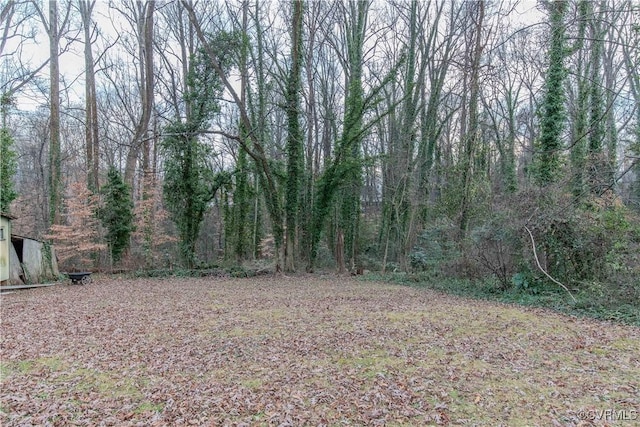 202 Raymond Ave, Charlottesville, VA 22903 - photo 10