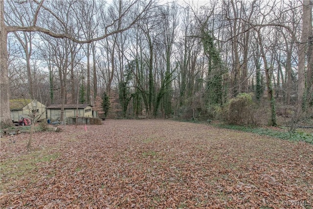 202 Raymond Ave, Charlottesville, VA 22903 - photo 11