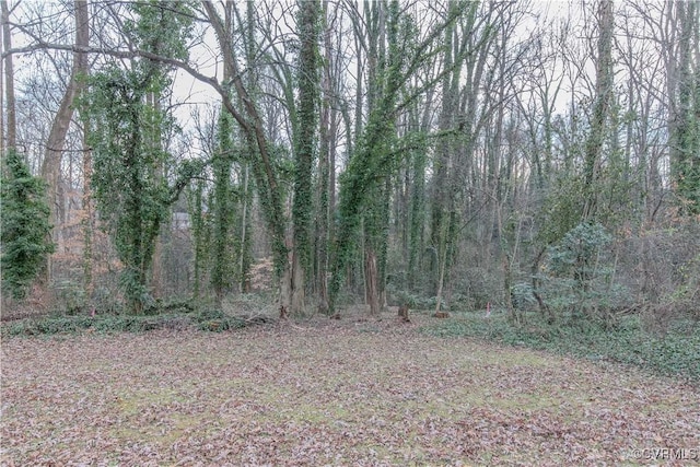 202 Raymond Ave, Charlottesville, VA 22903 - photo 12