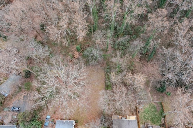 202 Raymond Ave, Charlottesville, VA 22903 - photo 37