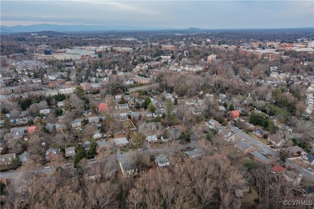 202 Raymond Ave, Charlottesville, VA 22903 - photo 41