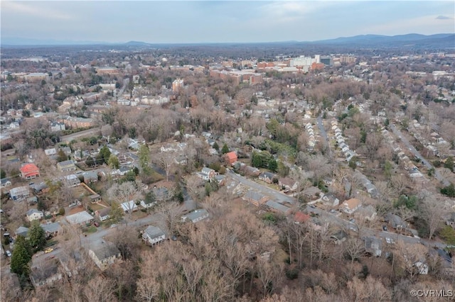 202 Raymond Ave, Charlottesville, VA 22903 - photo 42
