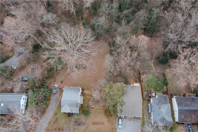 202 Raymond Ave, Charlottesville, VA 22903 - photo 29