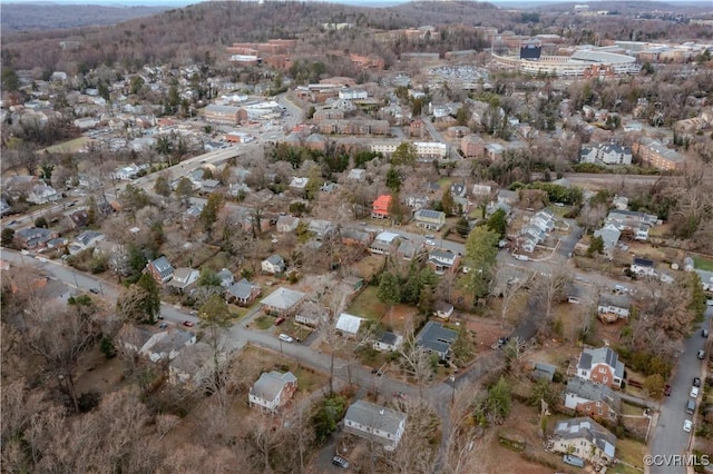 202 Raymond Ave, Charlottesville, VA 22903 - photo 31