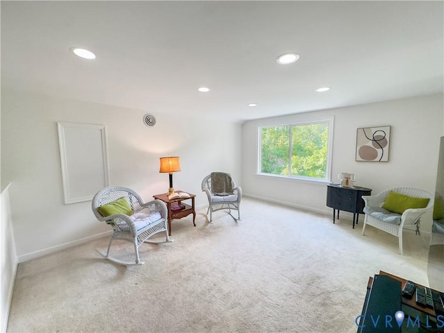 306 Calley St, Ashland, VA 23005 - photo 24